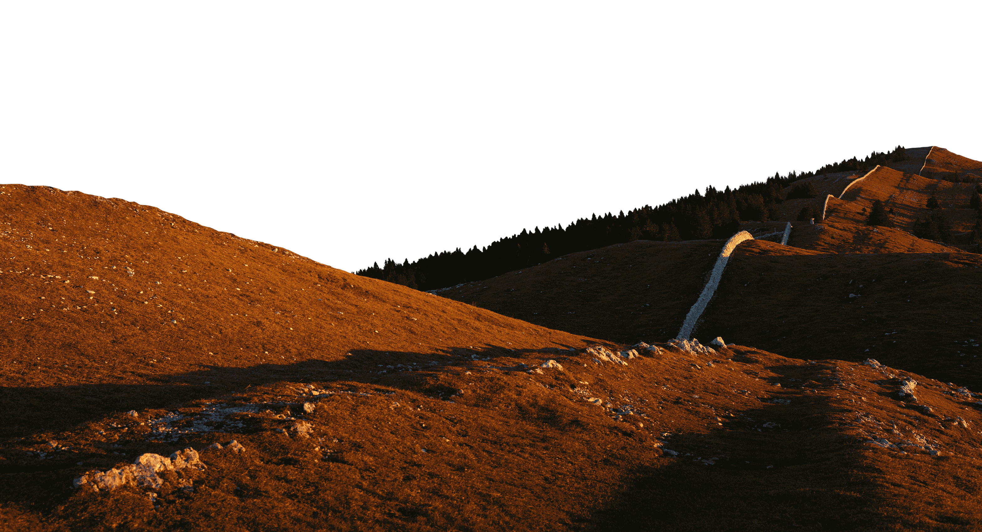 1976